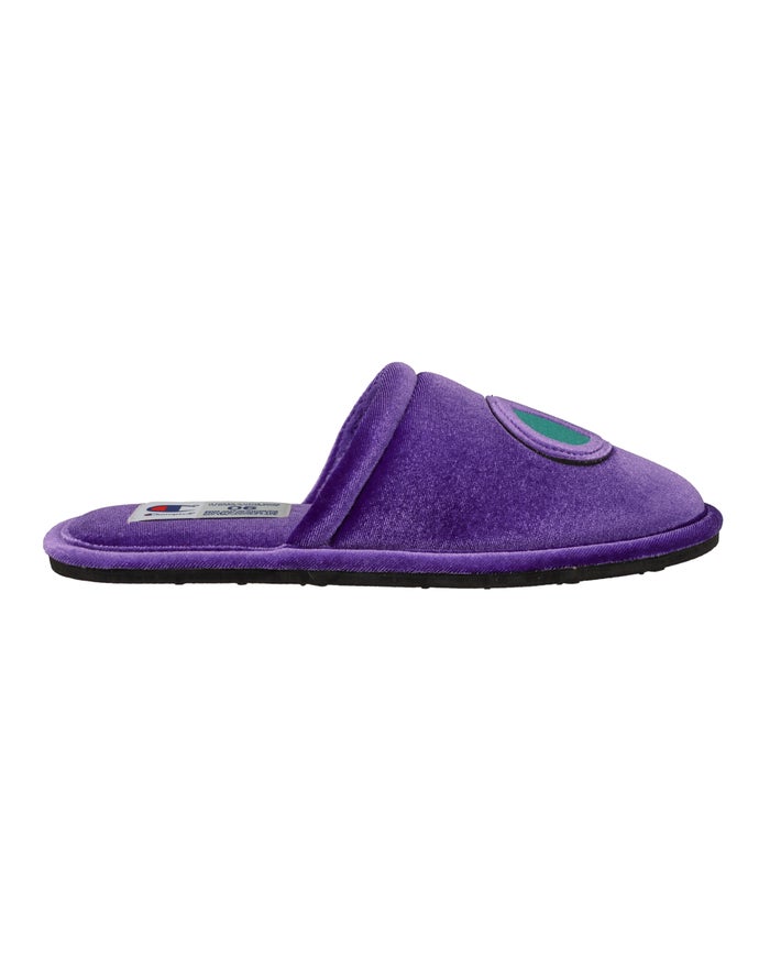 Champion Womens Slippers NZ - Sleepover Velvet Purple ( 5289-EIRLG )